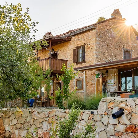 Bademlique Stone Lejlighed *